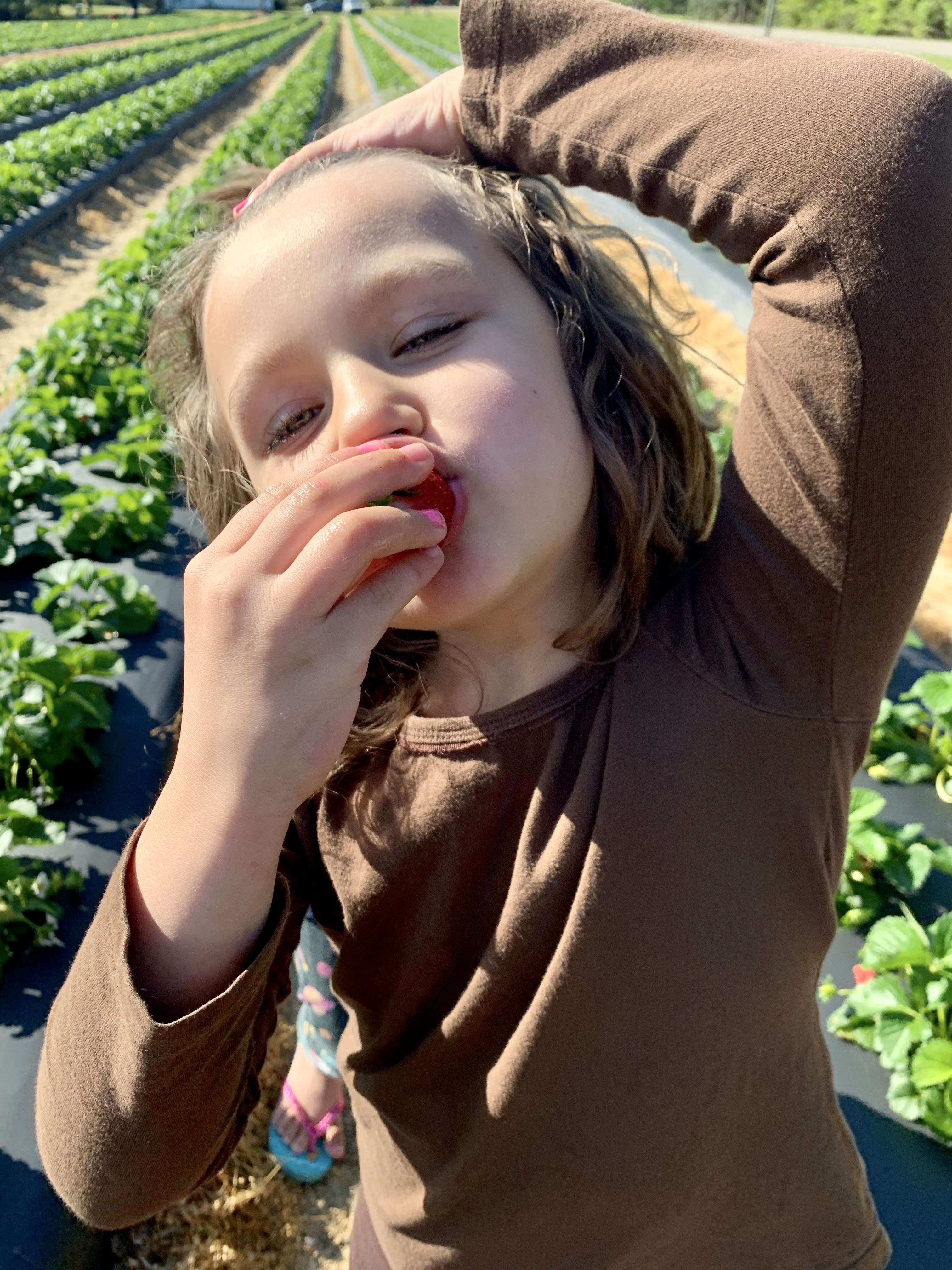 strawberries